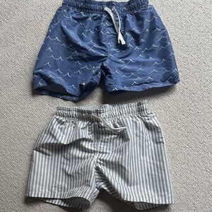 Blue Wave and Green Striped Swim Set